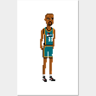 Grant Hill Posters and Art